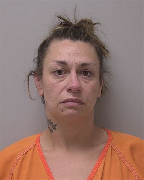February 9, 2022 Methamphetamine possession, theft, disorderly conduct, resisting or obstructing an officer. . Marathon county mugshots july 2022
